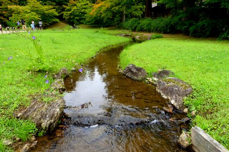 Yarimizu - Motsuji, Hiraizumi, Iwate - DSC04501