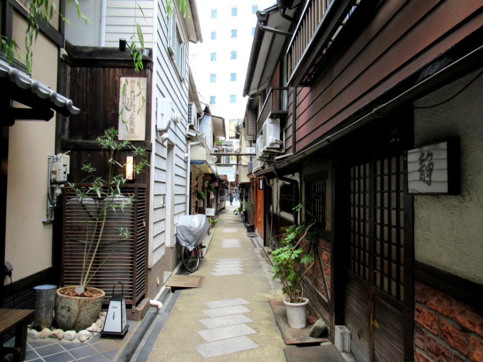 Yanagi Koji Kyoto 007