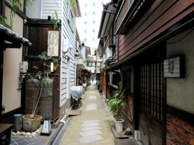Yanagi Koji Kyoto 007