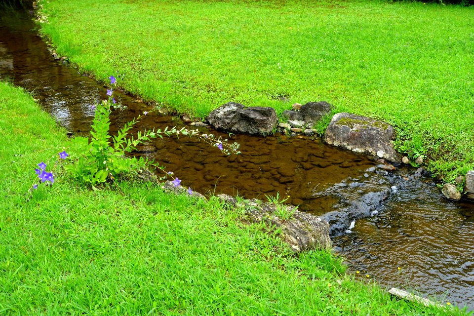 Yarimizu - Motsuji, Hiraizumi, Iwate - DSC04521