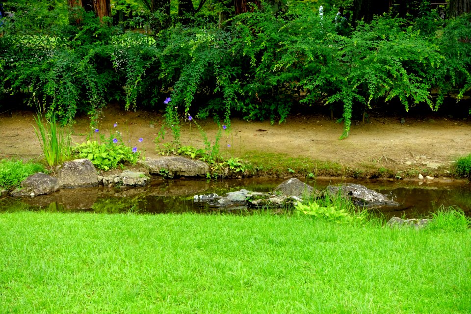 Yarimizu - Motsuji, Hiraizumi, Iwate - DSC04497