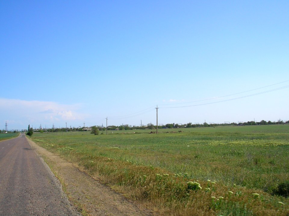 Yarkoe 50