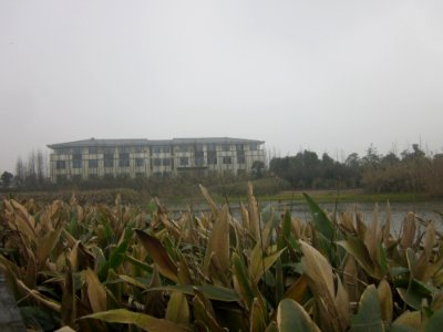 Yanghu Wetland Park, picture2