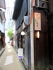 Yanagi Koji Kyoto 004