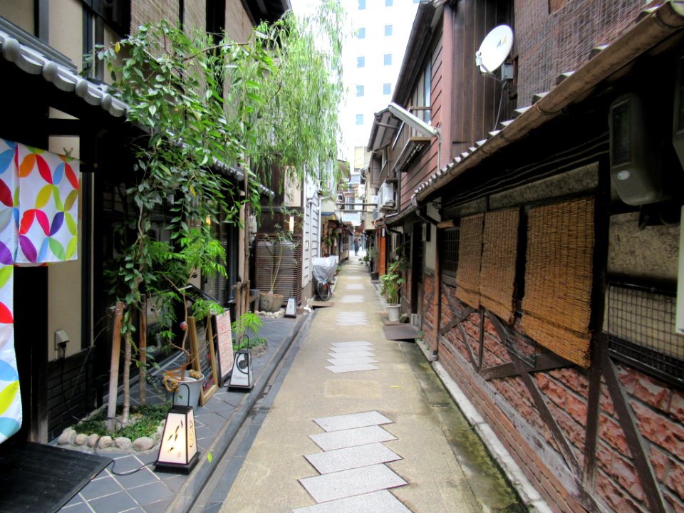 Yanagi Koji Kyoto 006