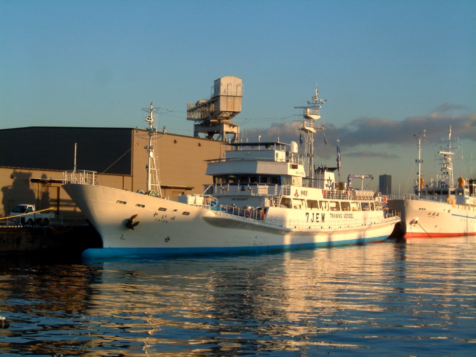 Yaizu a fishery training vessel of Shizuoka Prefectual Yaizu Fisheries High School if Shinko-peer of port of Yokohama