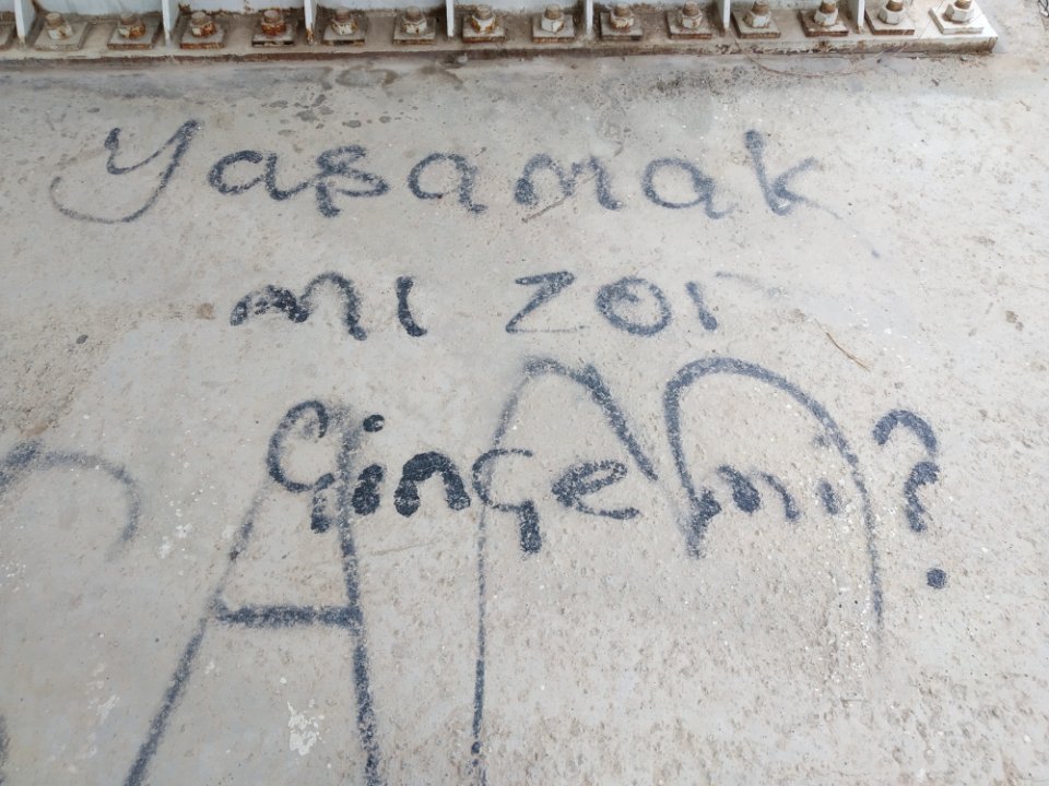 Yaşamak mı zor Çinçe mi?