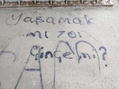 Yaşamak mı zor Çinçe mi?