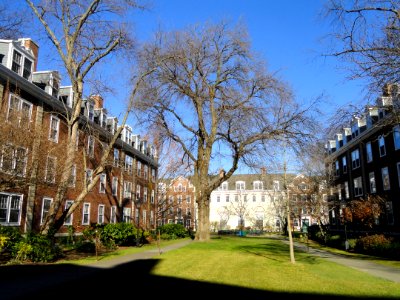 Yard - Harvard Business School - DSC02995