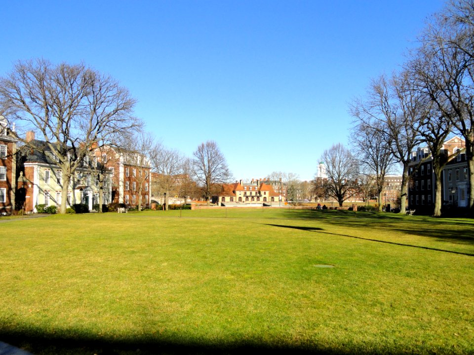 Yard - Harvard Business School - DSC02994