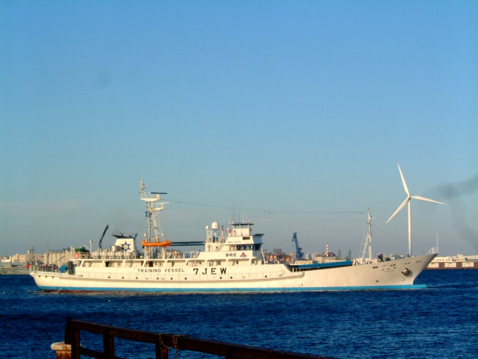 Yaizu a fishery training vessel of Shizuoka Prefectual Yaizu Fisheries High School at port of Yokohama