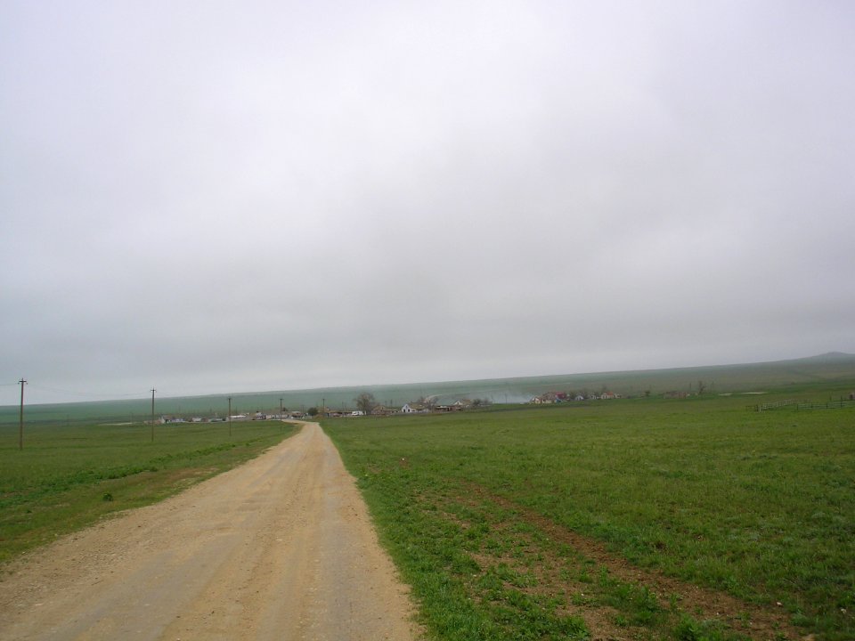 Yarkoe (Leninskiy Raion) 4
