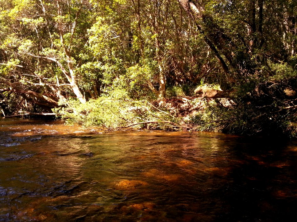 Yadboro River crossing on the Kaliana Ridge Track near Long Gully Campground 008