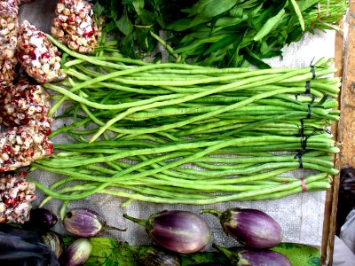 Yard-long beans (marketed)