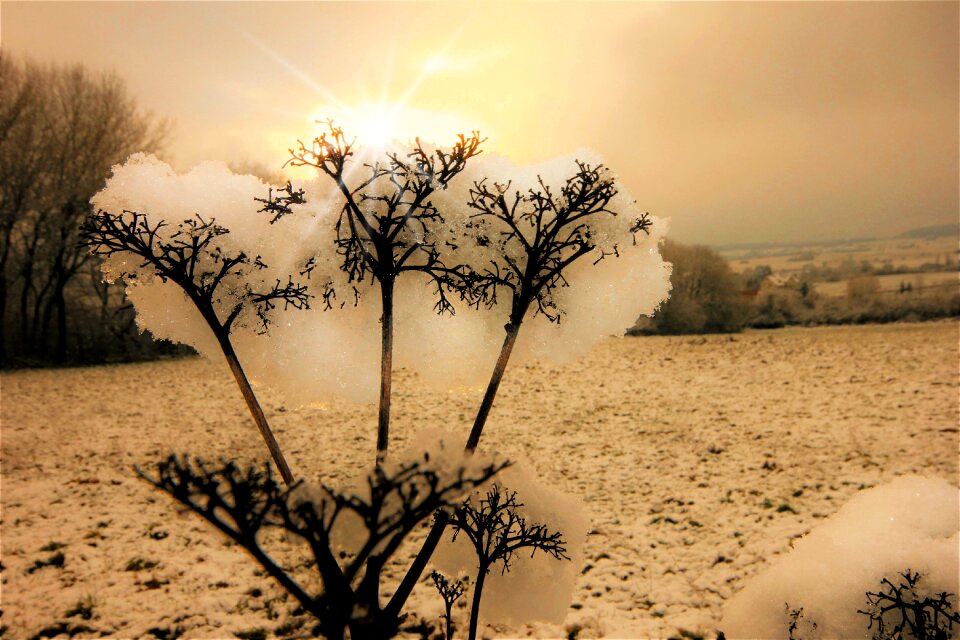 Nature landscape sunset