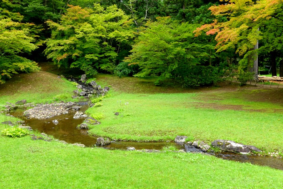 Yarimizu - Motsuji, Hiraizumi, Iwate - DSC04492