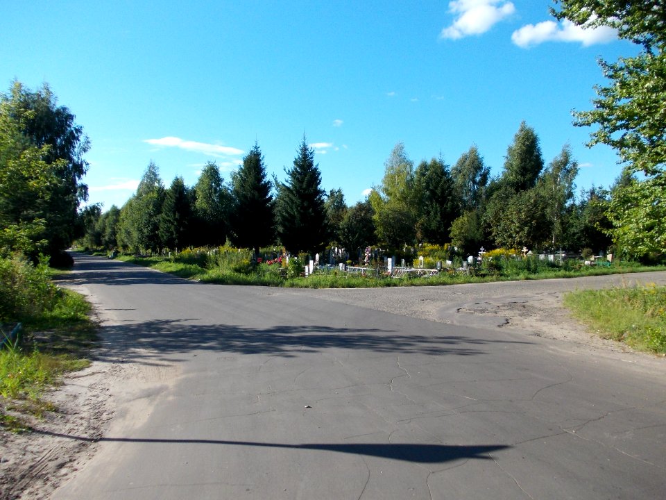 Yaroslavl Ignatyevo Cemetery 001