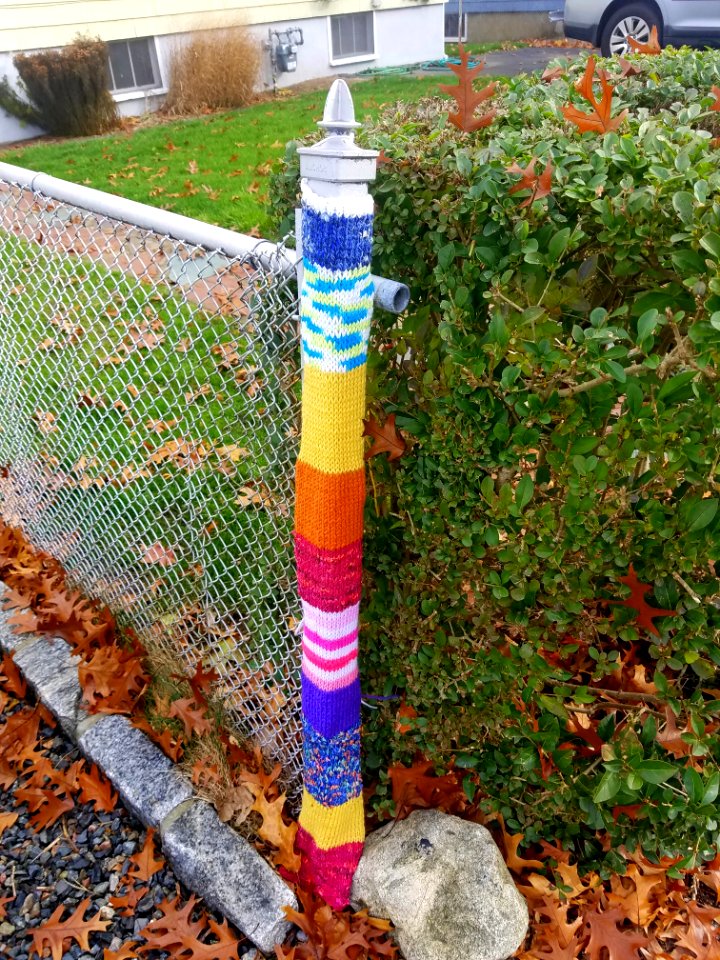 Yarn bomb - Arlington, MA - 20201111 100055