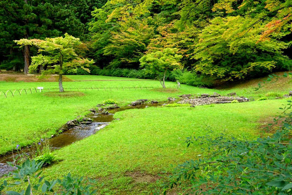 Yarimizu - Motsuji, Hiraizumi, Iwate - DSC04546