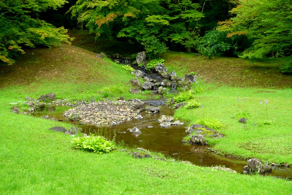 Yarimizu - Motsuji, Hiraizumi, Iwate - DSC04484