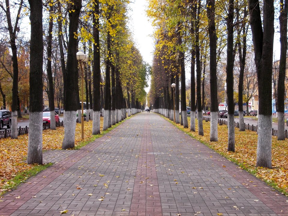 Yaroslavl-Lenin-Avenue-003
