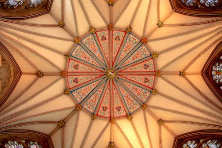 York Minster Chapter House Ceiling (215286761) photo