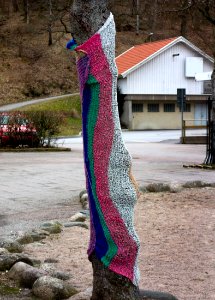 Yarn bombing on a tree in Munkedal 1
