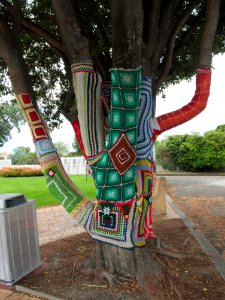 Yarn-Bombed-Tree-Ulverstone-20160307-005 photo