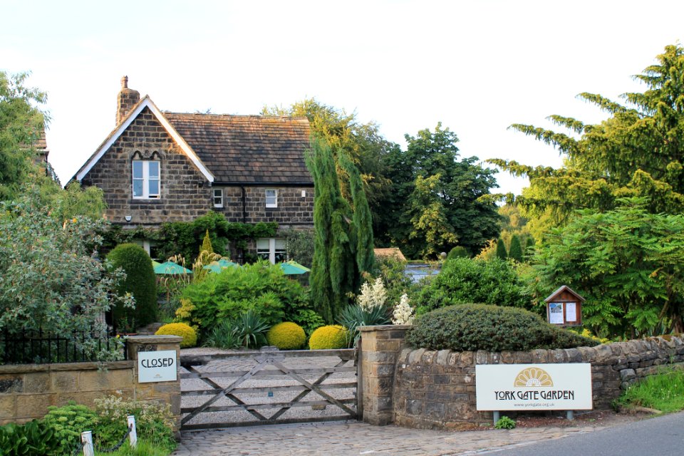 York Gate Garden 2019-07-16 (2)