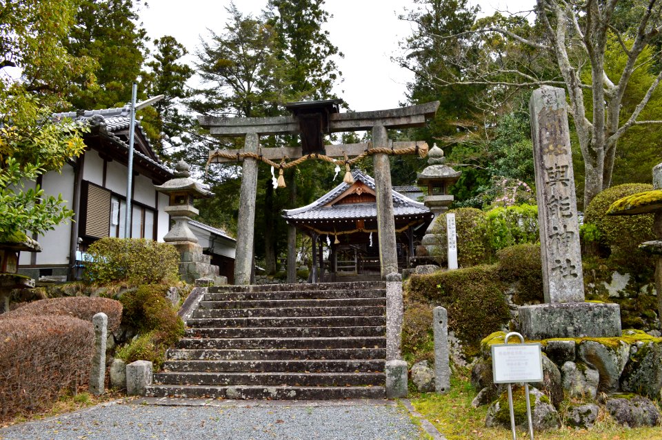 Yono-jinja, torii