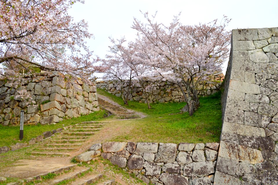 Yonago Castle, tetsu-gomon