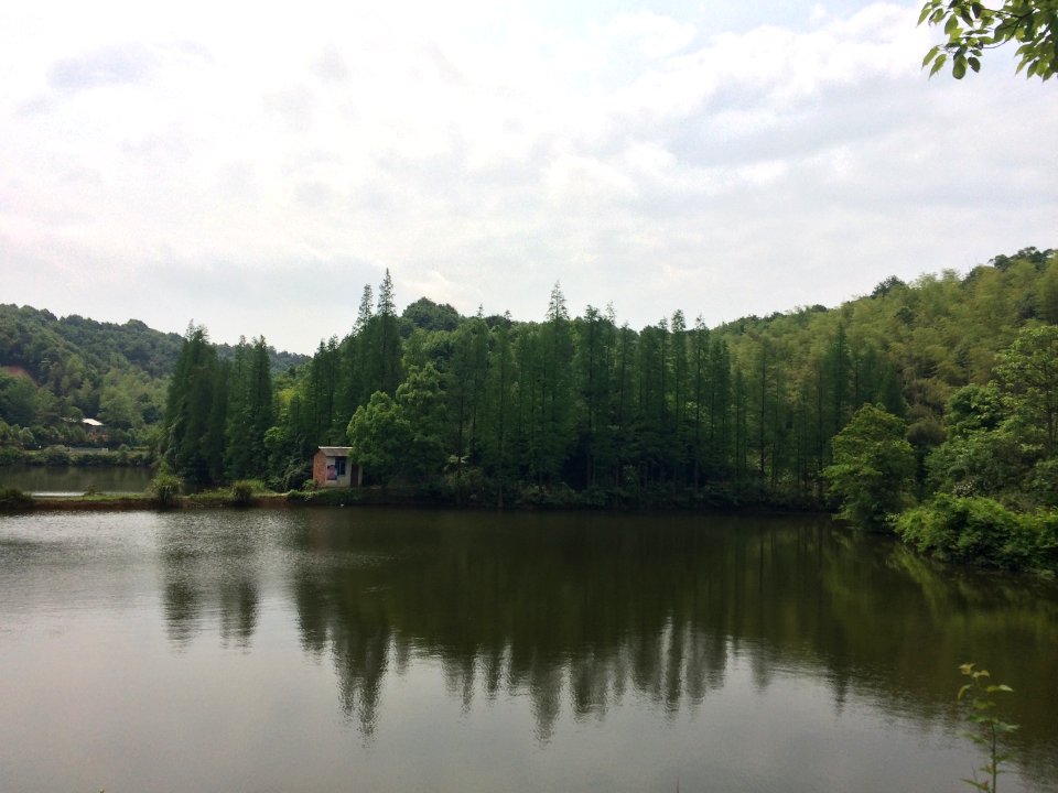 Yuxingshan Reservoir, picture5