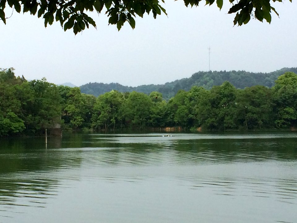 Yuxingshan Reservoir, picture4