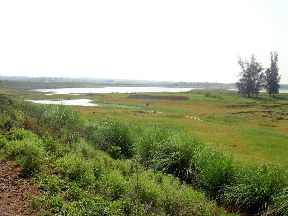 Yufeng Reservoir during 2015 drought - 02