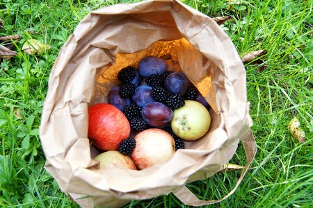 Plum blackberry autumn