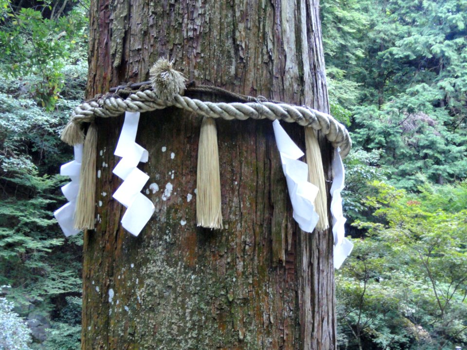 Yuki-jinja (Kurama-dera) - DSC06738