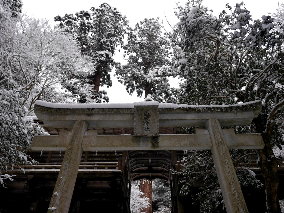Yuji jinja shrine 20190114 01