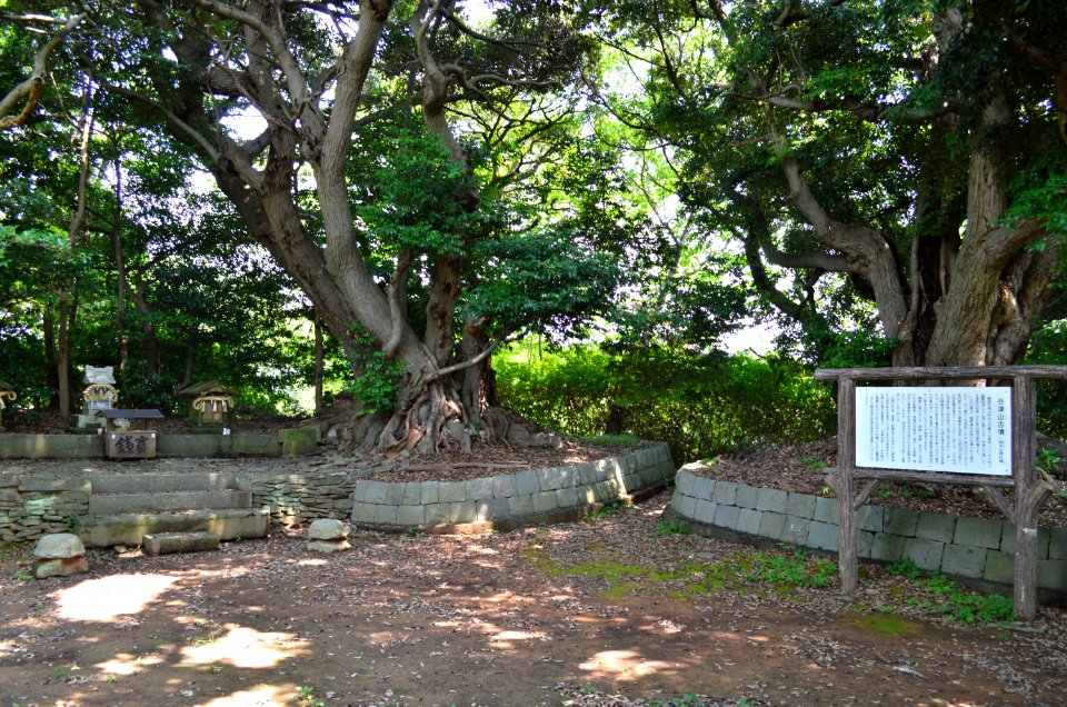 Yatsuyama-kofun funcho