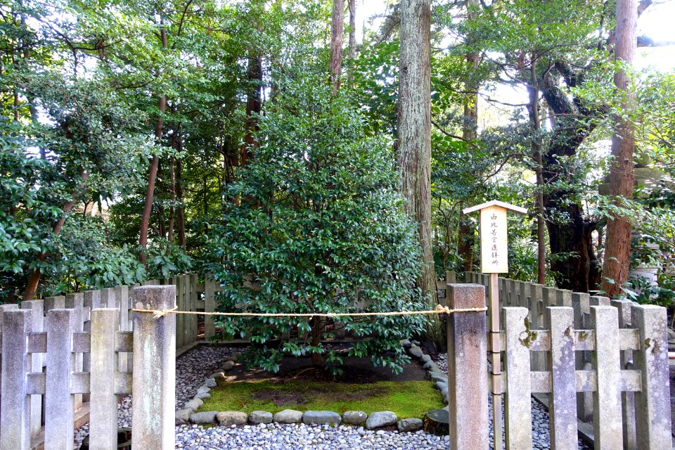 Yui Wakamiya Yōhaijo - Tsurugaoka Hachiman-gū - Kamakura, Kanagawa, Japan - DSC08356