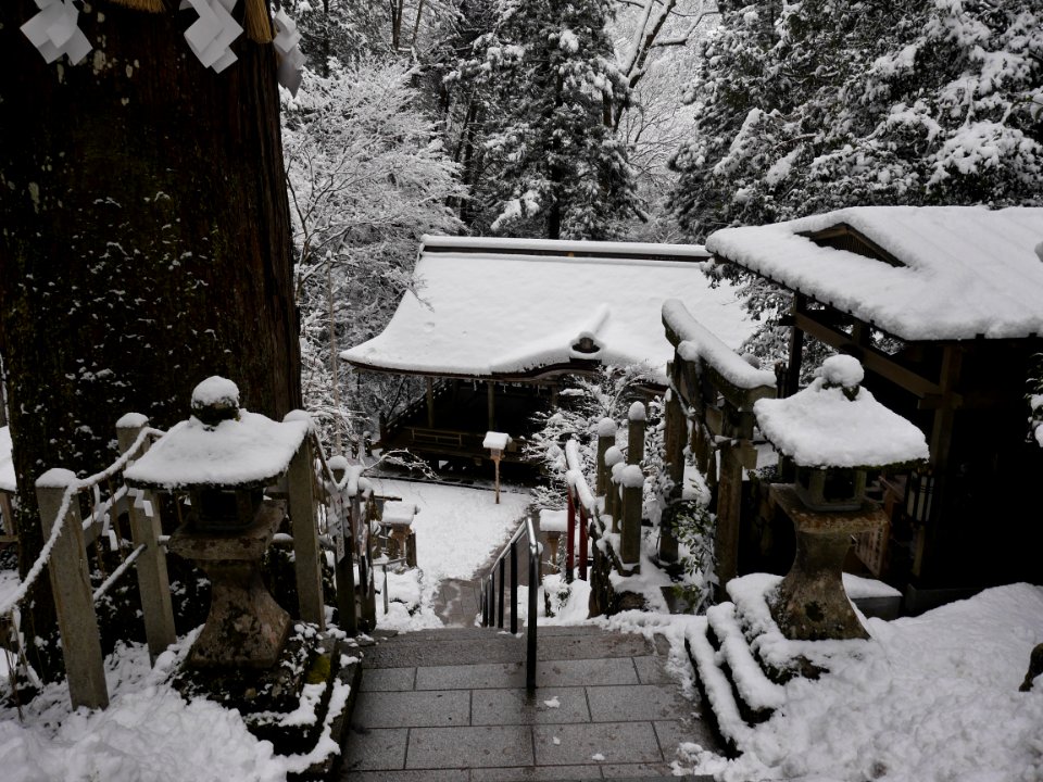 Yuji jinja shrine overview 20190114