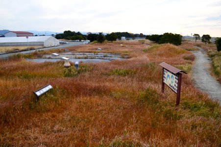 Yayoi Park of Tamura Site