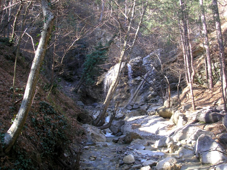 Yauzlar 2