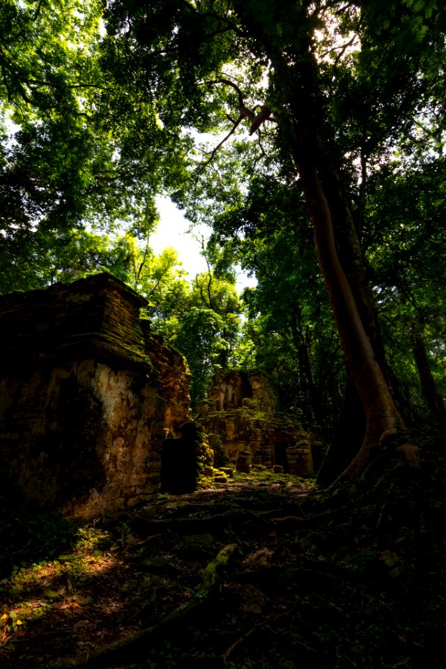 Yaxchilan (243457003)