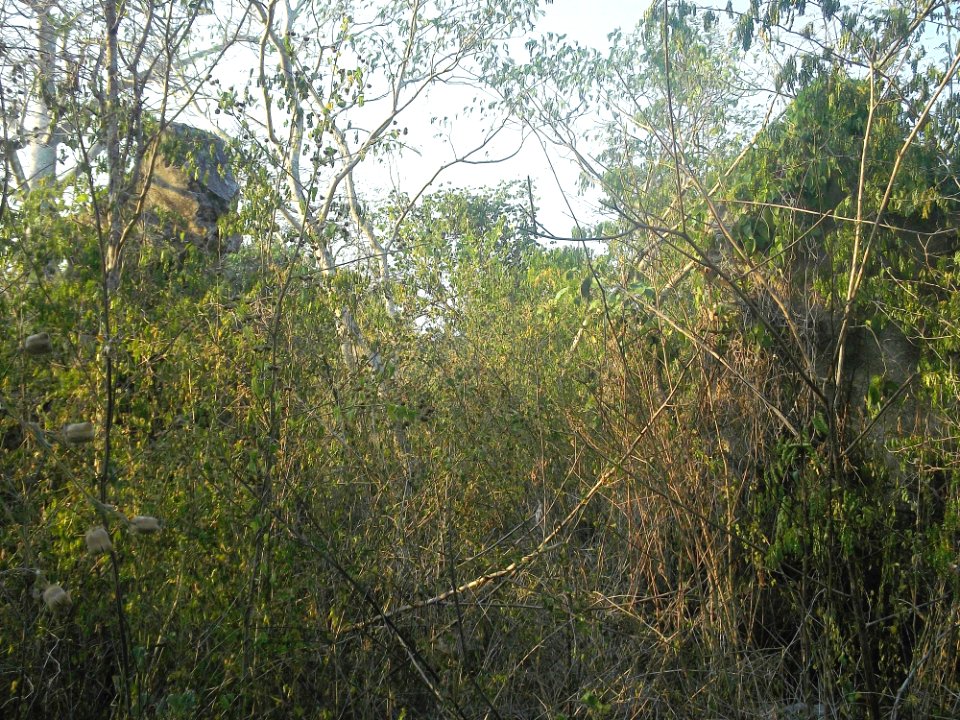 Yaxcopoil (Yaxkukul), Yucatán (11)