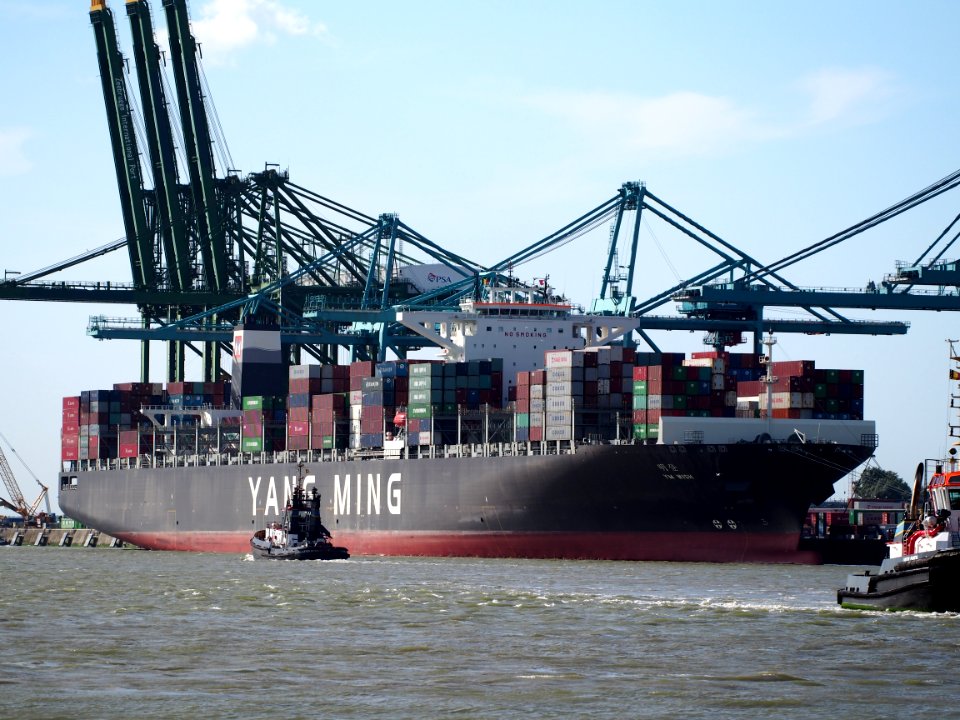 YM WISH - IMO 9684641, Port of Antwerp
