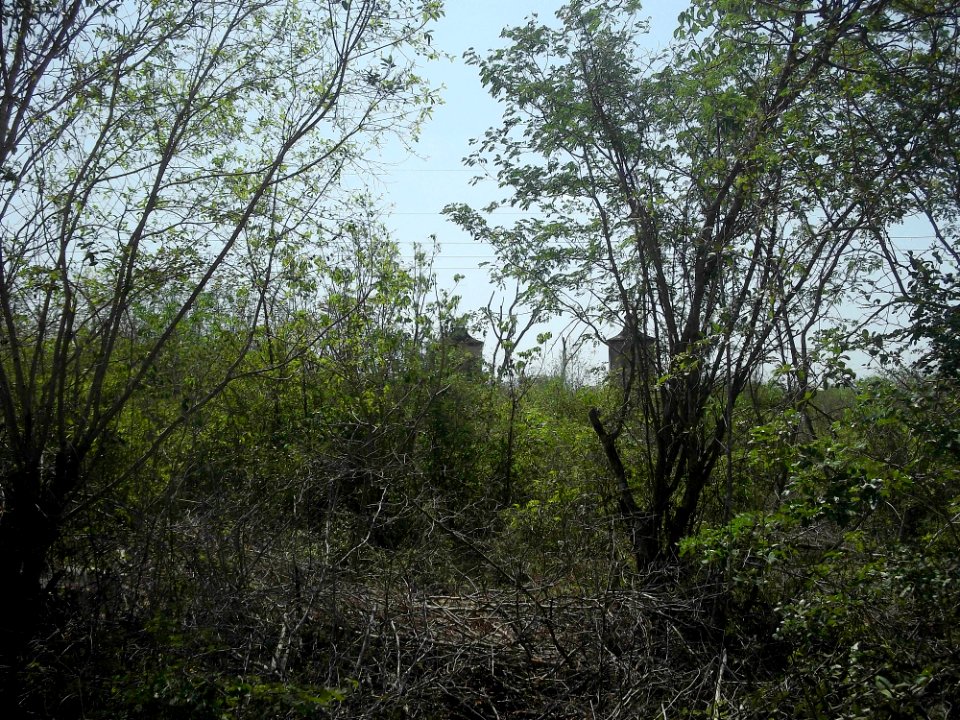 Yaxnic, Yucatán (08)