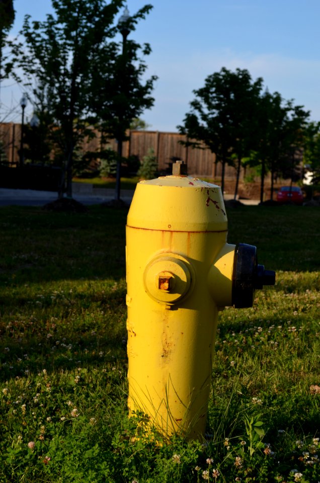 YellowFireHydrant