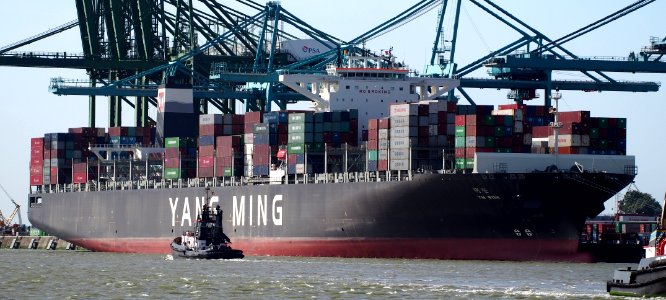 YM WISH - IMO 9684641, Port of Antwerp (cropped)