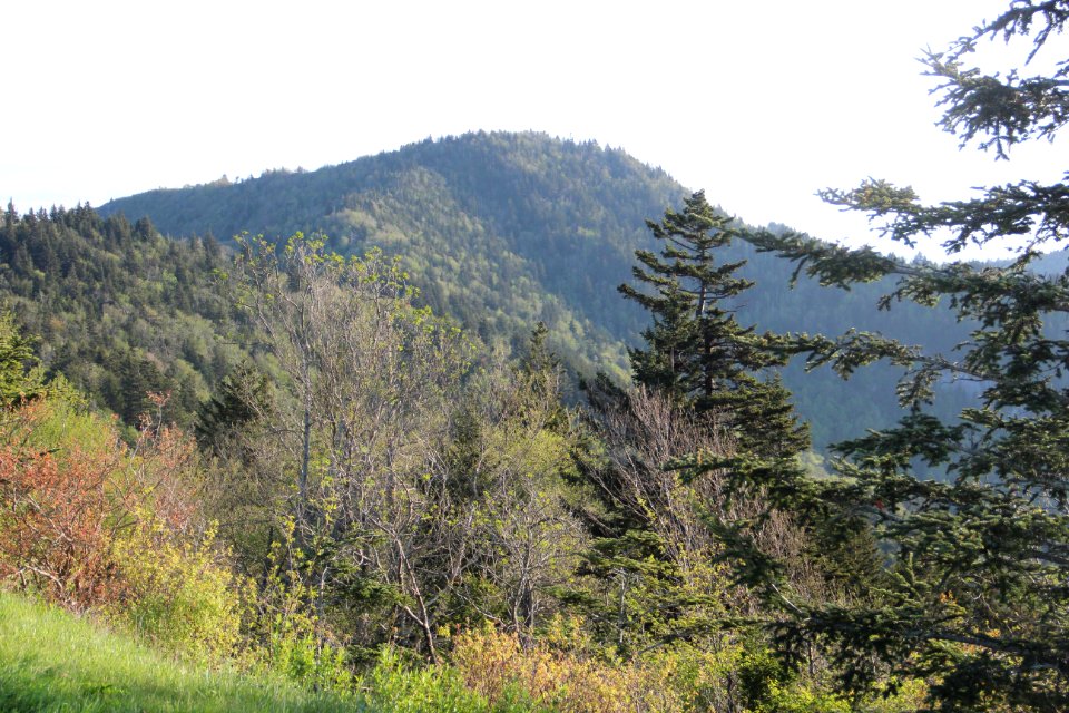 Yellowface viewed from Waterrock Knob, May 2017