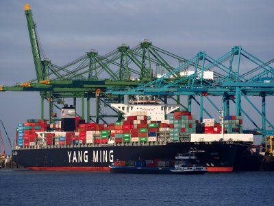 YM Wholesome (ship, 2015) IMO 9704611 & Belicha (ship, 2003) IMO 9287601 ENI 06003885 Port of Antwerp pic2